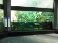 Berlyno zoologijos sodo akvariumas