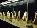 Berlyno zoologijos sodo akvariumas