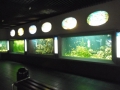 Berlyno zoologijos sodo akvariumas