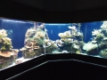 Berlyno zoologijos sodo akvariumas