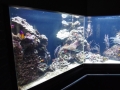 Berlyno zoologijos sodo akvariumas