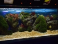2015-07-29_2682