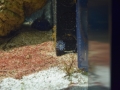 2015-07-29_2683