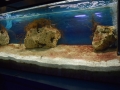 2015-07-29_2685