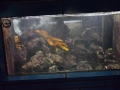 2015-07-29_2686