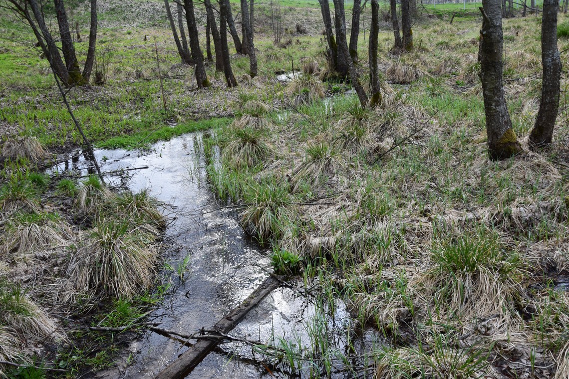 Skroblaus versmės