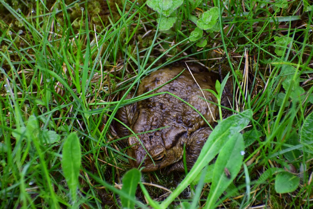 Cirkliškio dvaras ir parkas