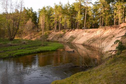 Valkininkų turistinis-pažintinis takas "Žodis girios draugui"