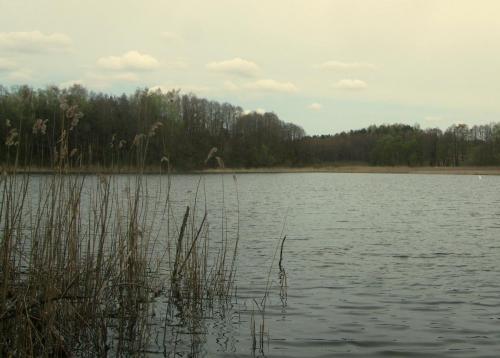 Stačiūnų herpetologinis draustinis