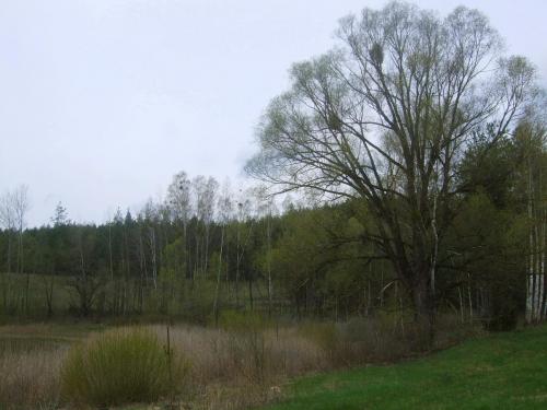 Stačiūnų herpetologinis draustinis
