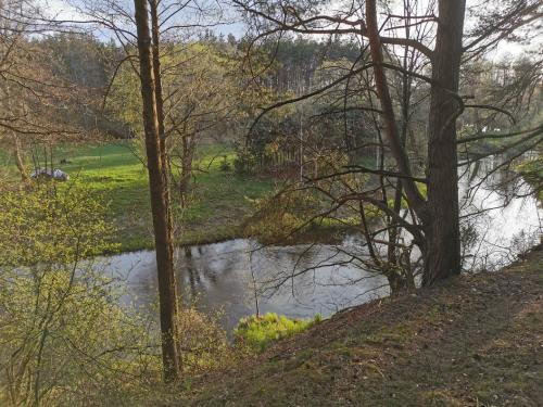 Valkininkų turistinis-pažintinis takas "Žodis girios draugui"