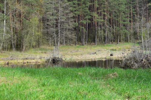 Kučiuliškės herpetologinis draustinis