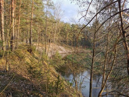 Valkininkų turistinis-pažintinis takas "Žodis girios draugui"