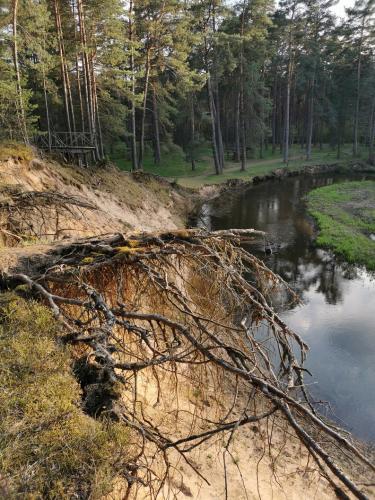 Valkininkų turistinis-pažintinis takas "Žodis girios draugui"