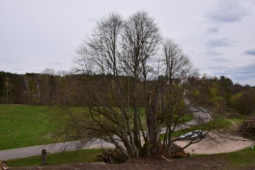 Liškiava