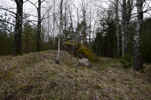 Vėžalių (Perkūno) akmuo. Nuotraukų galerija