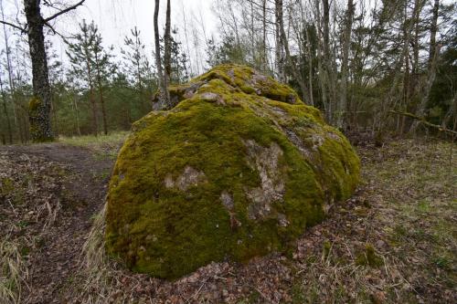 Vėžalių (Perkūno) akmuo. Nuotraukų galerija