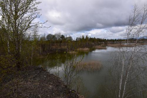 Menčių klinčių karjeras. Nuotraukų gelerija (40 nuotraukų)