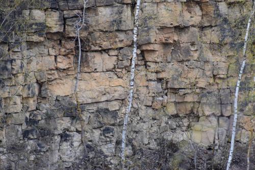 Menčių klinčių karjeras. Nuotraukų gelerija (40 nuotraukų)