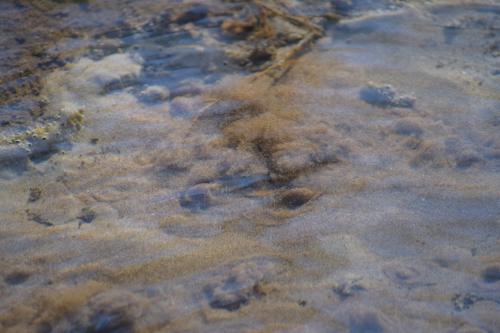 Šmitos versmė. Nuotraukų galerija