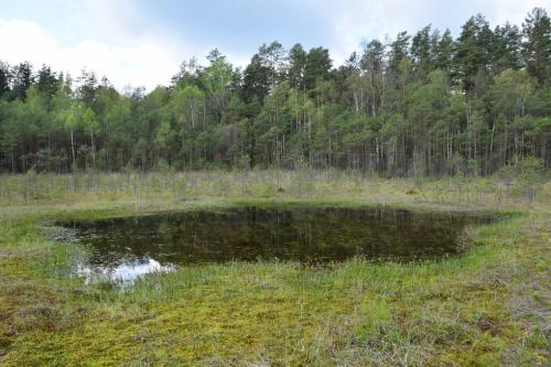 Degučių pažintinis takas