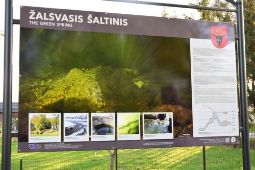 Žalsvasis šaltinis 