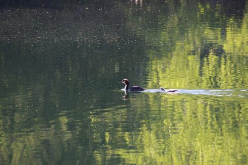 Žygis aplink Balsio ežerą